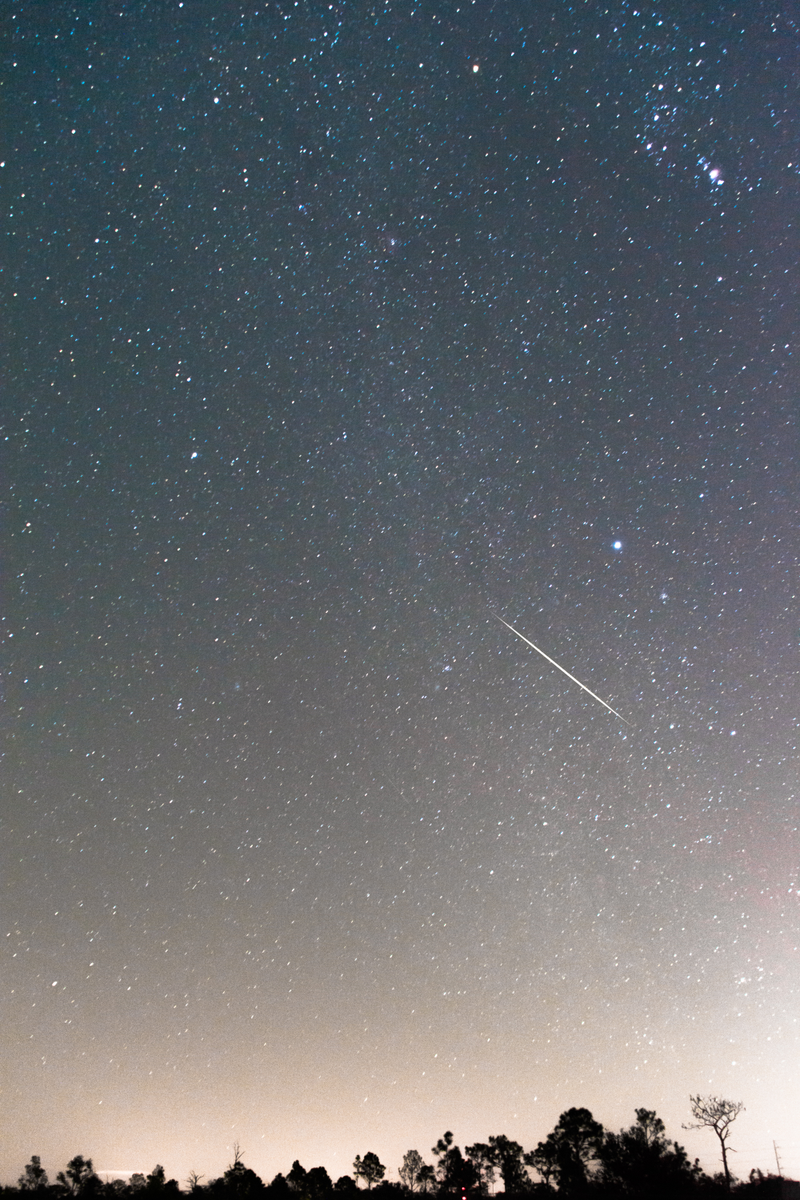 Illustration for article titled Geminids!